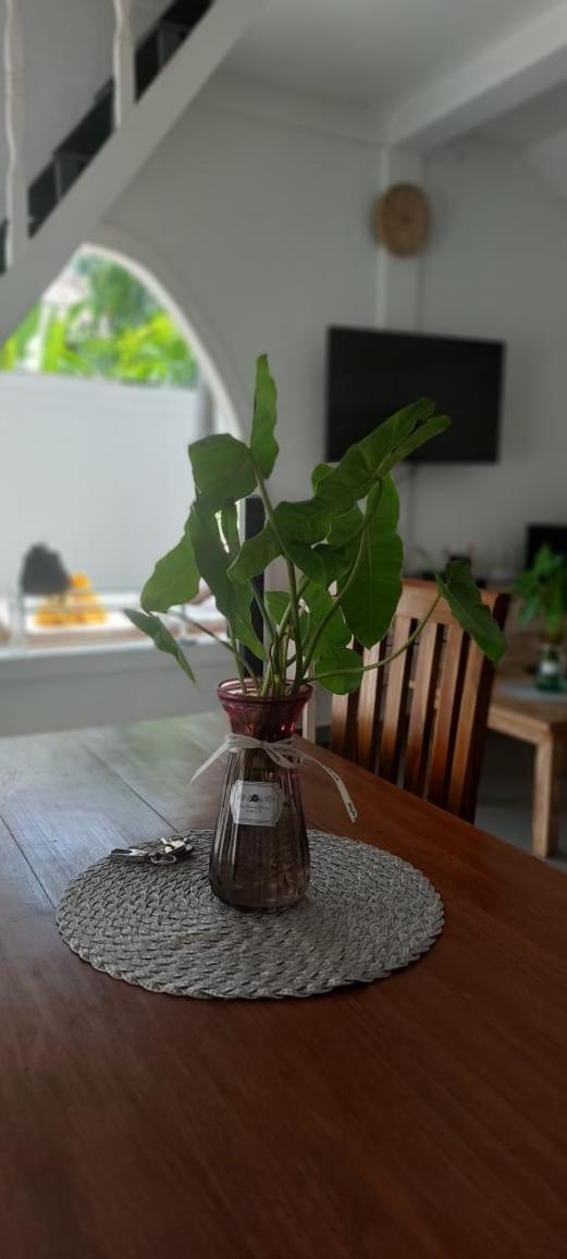 Villa Olivia Seminyak Buitenkant foto